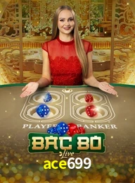 ACE699.COM